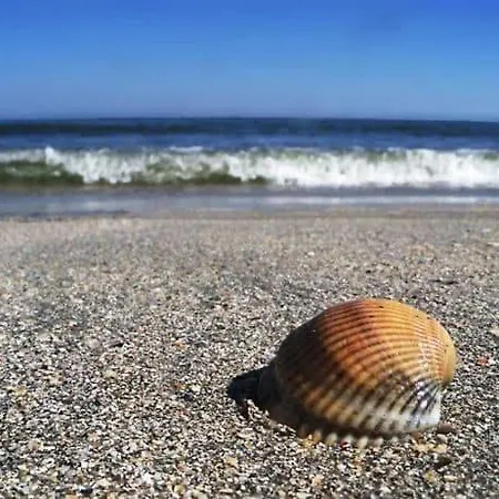 Casa Balan Pensjonat 3*