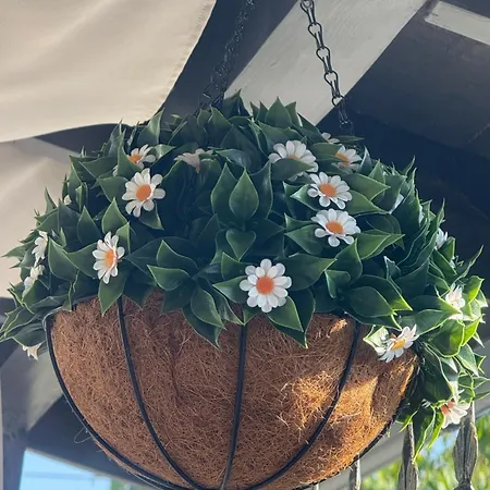 Pensiune Casa Balan Eforie Nord